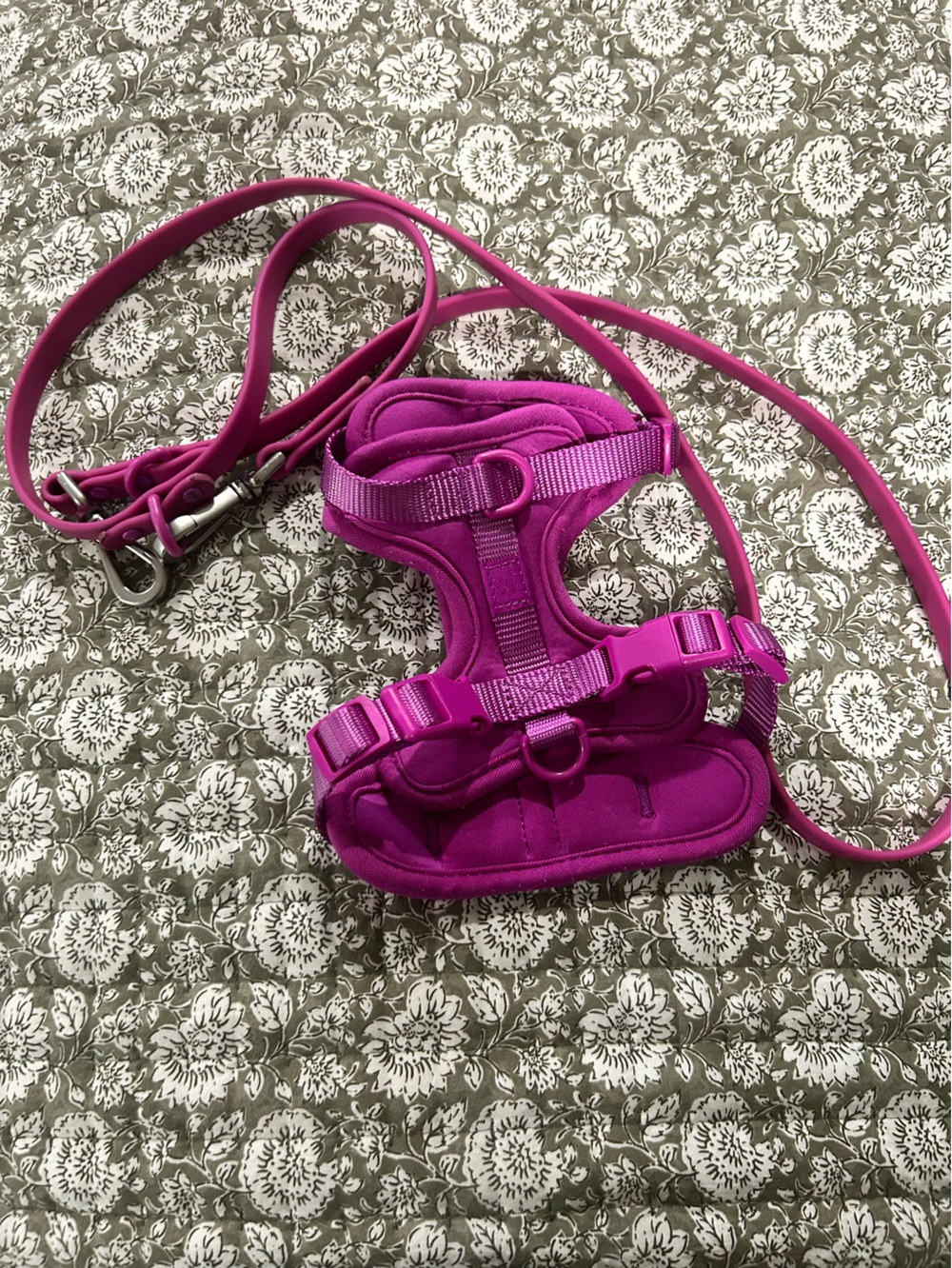 Wild one harness
